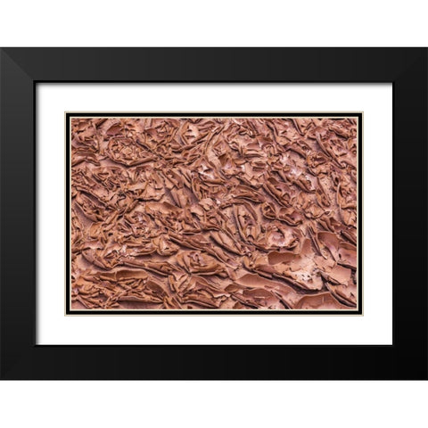 UT, Glen Canyon Dried mud left by Lake Powell Black Modern Wood Framed Art Print with Double Matting by Paulson, Don
