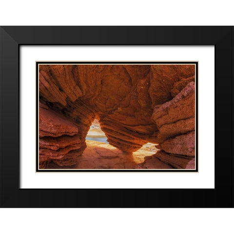 Utah, Glen Canyon NRA Eroded sandstone cave Black Modern Wood Framed Art Print with Double Matting by Paulson, Don