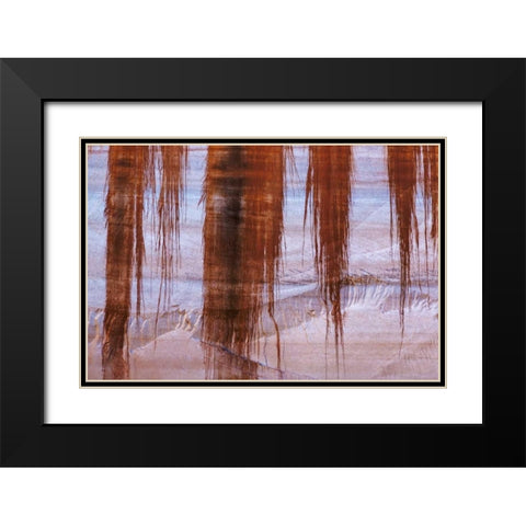 UT, Glen Canyon Sandstone with varnish stains Black Modern Wood Framed Art Print with Double Matting by Paulson, Don