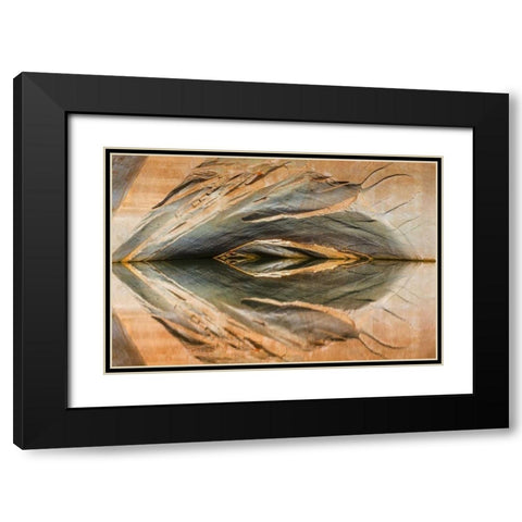 Utah, Glen Canyon Abstract reflection sandstone Black Modern Wood Framed Art Print with Double Matting by Paulson, Don