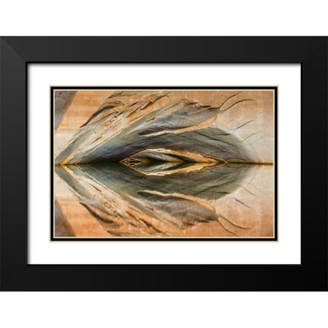 Utah, Glen Canyon Abstract reflection sandstone Black Modern Wood Framed Art Print with Double Matting by Paulson, Don