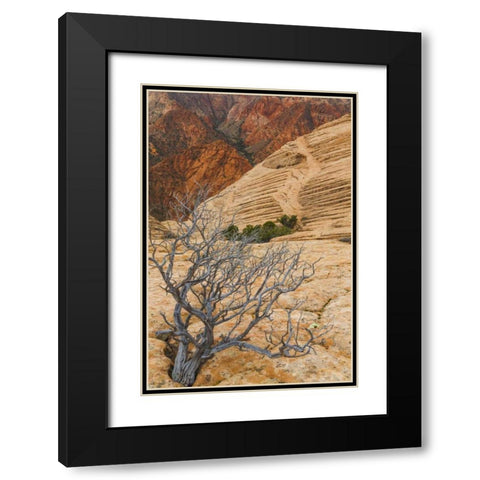 Utah Landscape in Dixie National Forest Black Modern Wood Framed Art Print with Double Matting by Paulson, Don