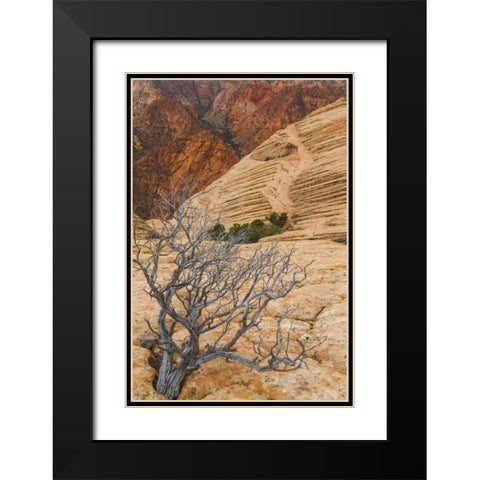 Utah Landscape in Dixie National Forest Black Modern Wood Framed Art Print with Double Matting by Paulson, Don