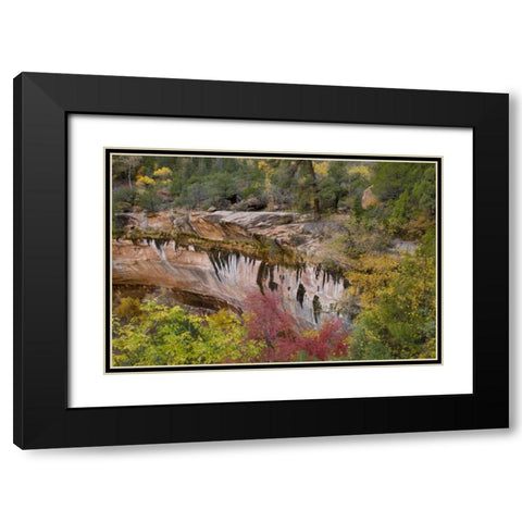 USA, Utah, Zion NP Emerald Pool Trail scenic Black Modern Wood Framed Art Print with Double Matting by Bush, Marie