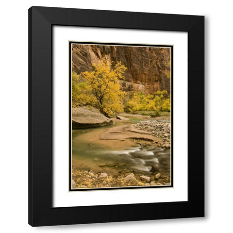 USA, Utah, Zion NP Virgin River autumn scenic Black Modern Wood Framed Art Print with Double Matting by Bush, Marie