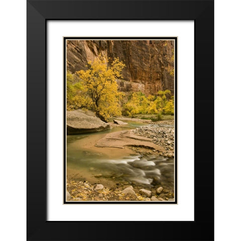 USA, Utah, Zion NP Virgin River autumn scenic Black Modern Wood Framed Art Print with Double Matting by Bush, Marie