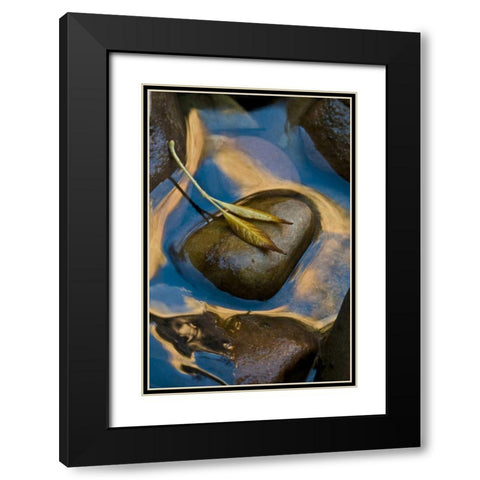 USA, Utah, Zion NP Leaf on rock in water Black Modern Wood Framed Art Print with Double Matting by Rotenberg, Nancy