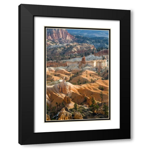 USA, Utah Hoodoo formations in Bryce Canyon NP Black Modern Wood Framed Art Print with Double Matting by Rotenberg, Nancy