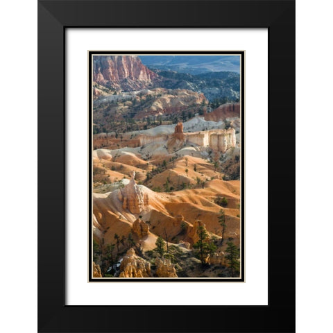 USA, Utah Hoodoo formations in Bryce Canyon NP Black Modern Wood Framed Art Print with Double Matting by Rotenberg, Nancy