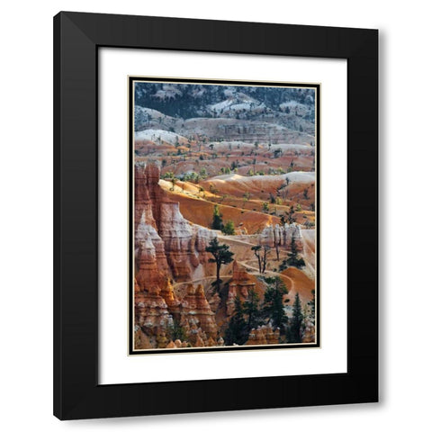 USA, Utah Hoodoo formations in Bryce Canyon NP Black Modern Wood Framed Art Print with Double Matting by Rotenberg, Nancy