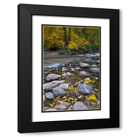 Utah, Zion NP The Narrows with fallen leaves Black Modern Wood Framed Art Print with Double Matting by Rotenberg, Nancy