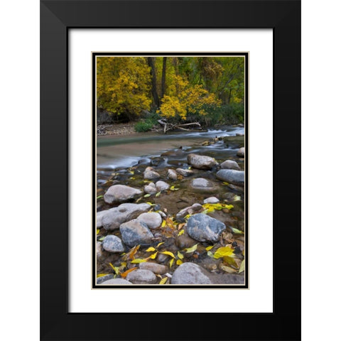 Utah, Zion NP The Narrows with fallen leaves Black Modern Wood Framed Art Print with Double Matting by Rotenberg, Nancy
