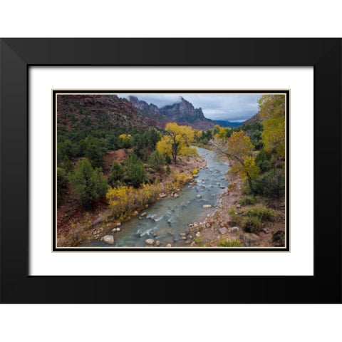 Utah, Zion NP Virgin River and cottonwood trees Black Modern Wood Framed Art Print with Double Matting by Rotenberg, Nancy