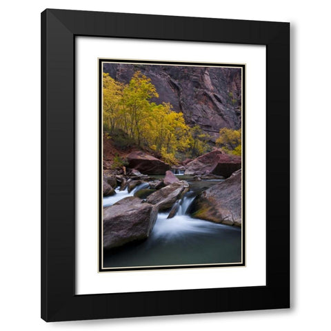 Utah, Zion NP Canyon waterfall with cottonwoods Black Modern Wood Framed Art Print with Double Matting by Rotenberg, Nancy
