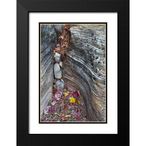 UT, Zion NP Canyon crevice with fallen leaves Black Modern Wood Framed Art Print with Double Matting by Rotenberg, Nancy