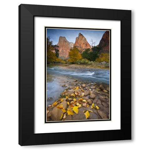 UT, Zion NP The Sentinel and the Virgin River Black Modern Wood Framed Art Print with Double Matting by Rotenberg, Nancy