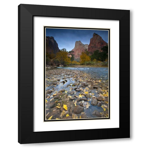 UT, Zion NP The Sentinel and the Virgin River Black Modern Wood Framed Art Print with Double Matting by Rotenberg, Nancy