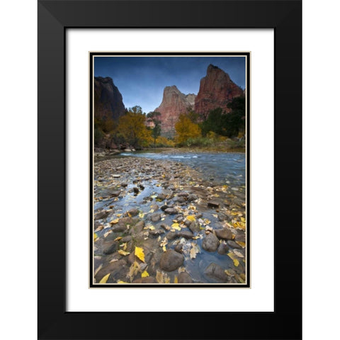 UT, Zion NP The Sentinel and the Virgin River Black Modern Wood Framed Art Print with Double Matting by Rotenberg, Nancy