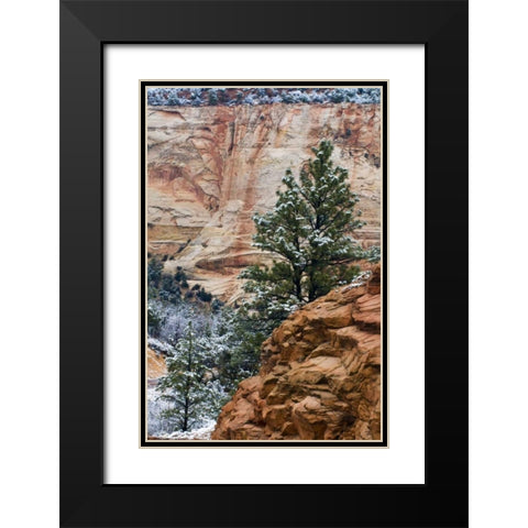 USA, Utah, Zion NP Winter scenic Black Modern Wood Framed Art Print with Double Matting by Rotenberg, Nancy