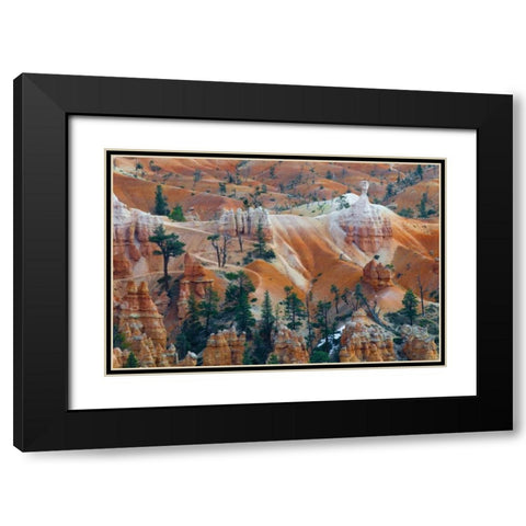USA, Utah Hoodoo formations in Bryce Canyon NP Black Modern Wood Framed Art Print with Double Matting by Rotenberg, Nancy
