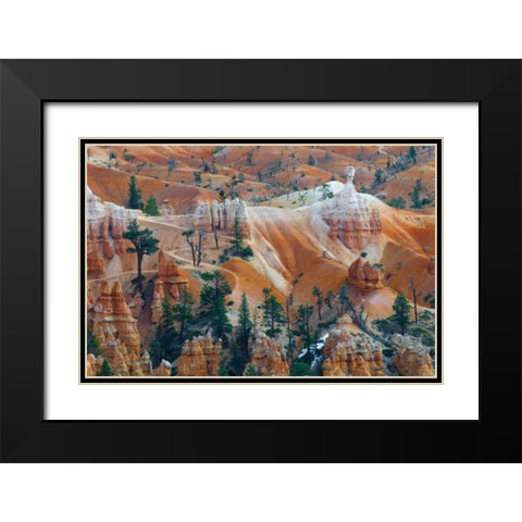 USA, Utah Hoodoo formations in Bryce Canyon NP Black Modern Wood Framed Art Print with Double Matting by Rotenberg, Nancy