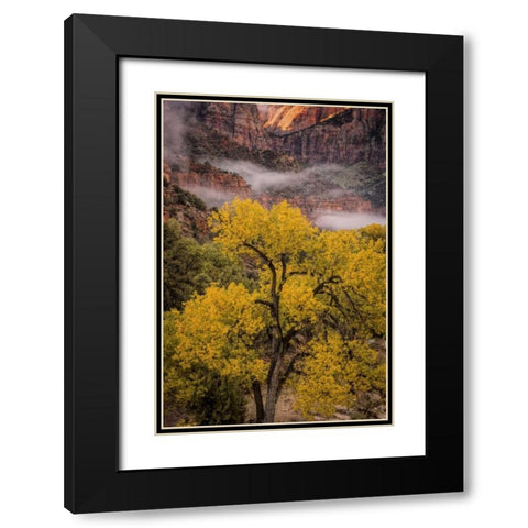 USA, Utah, Zion NP Foggy autumn landscape Black Modern Wood Framed Art Print with Double Matting by OBrien, Jay