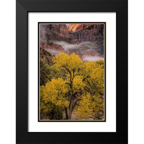 USA, Utah, Zion NP Foggy autumn landscape Black Modern Wood Framed Art Print with Double Matting by OBrien, Jay