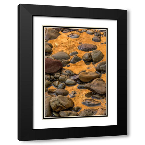 USA, Utah, Zion NP Rocks in water Black Modern Wood Framed Art Print with Double Matting by OBrien, Jay