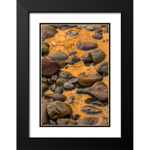 USA, Utah, Zion NP Rocks in water Black Modern Wood Framed Art Print with Double Matting by OBrien, Jay