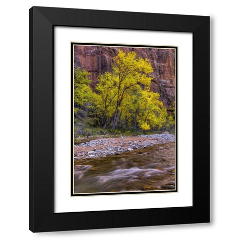 USA, Utah, Zion NP Stream in autumn scenic Black Modern Wood Framed Art Print with Double Matting by OBrien, Jay