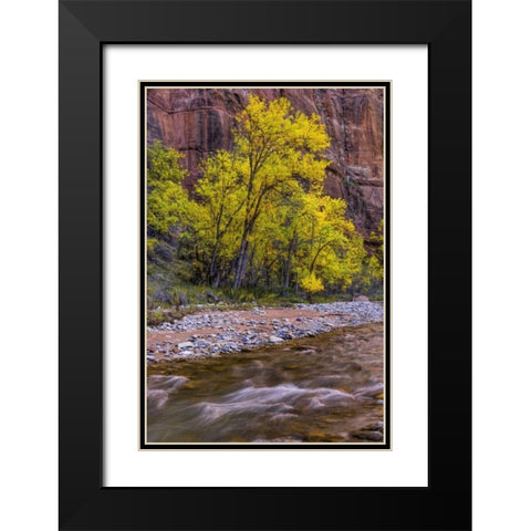 USA, Utah, Zion NP Stream in autumn scenic Black Modern Wood Framed Art Print with Double Matting by OBrien, Jay