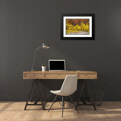 USA, Utah, Zion NP Stream in autumn landscape Black Modern Wood Framed Art Print with Double Matting by OBrien, Jay