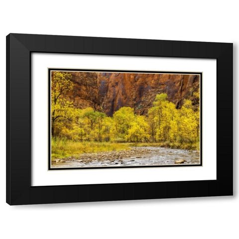 USA, Utah, Zion NP Stream in autumn landscape Black Modern Wood Framed Art Print with Double Matting by OBrien, Jay