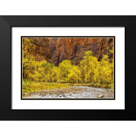 USA, Utah, Zion NP Stream in autumn landscape Black Modern Wood Framed Art Print with Double Matting by OBrien, Jay