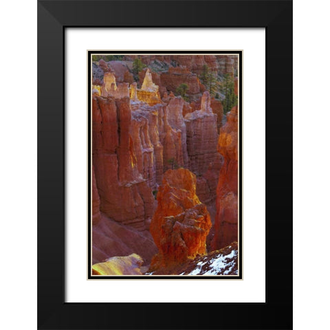 USA, Utah, Bryce Canyon NP Close-up of hoodoos Black Modern Wood Framed Art Print with Double Matting by OBrien, Jay