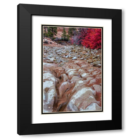 USA, Utah, Zion NP Ground rock pattern Black Modern Wood Framed Art Print with Double Matting by OBrien, Jay