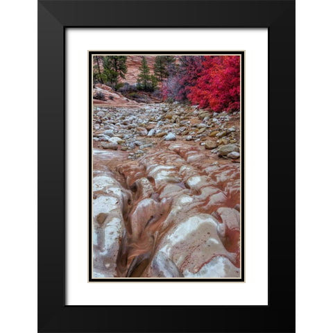 USA, Utah, Zion NP Ground rock pattern Black Modern Wood Framed Art Print with Double Matting by OBrien, Jay