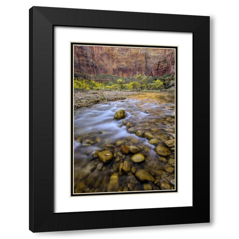USA, Utah, Zion NP Stream in autumn scenic Black Modern Wood Framed Art Print with Double Matting by OBrien, Jay