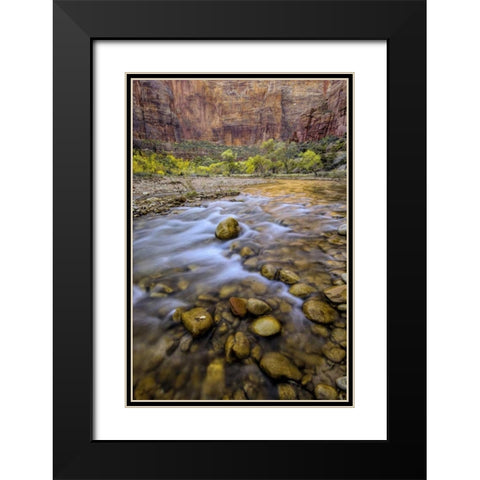 USA, Utah, Zion NP Stream in autumn scenic Black Modern Wood Framed Art Print with Double Matting by OBrien, Jay