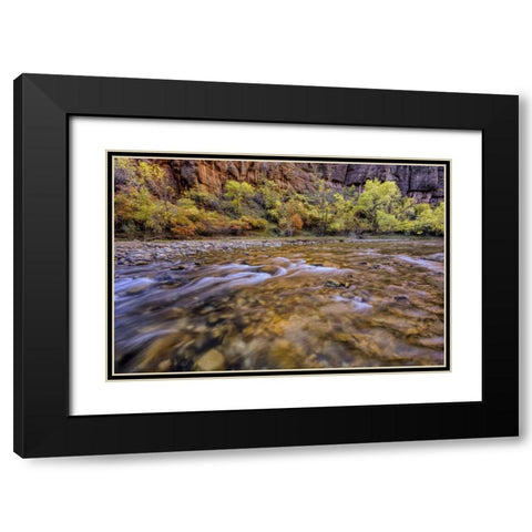 USA, Utah, Zion NP Stream in autumn scenic Black Modern Wood Framed Art Print with Double Matting by OBrien, Jay