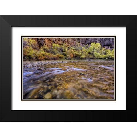 USA, Utah, Zion NP Stream in autumn scenic Black Modern Wood Framed Art Print with Double Matting by OBrien, Jay