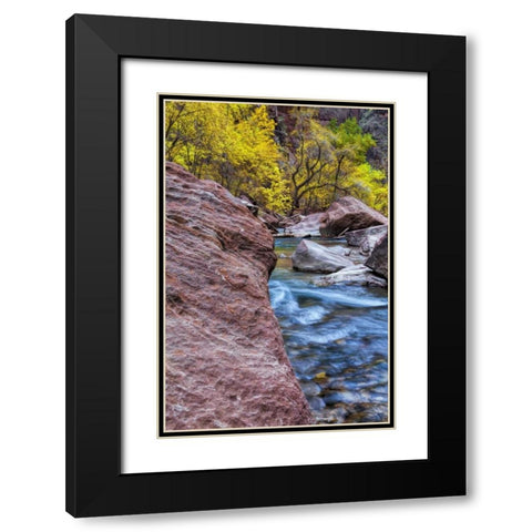 USA, Utah, Zion NP Stream in autumn landscape Black Modern Wood Framed Art Print with Double Matting by OBrien, Jay