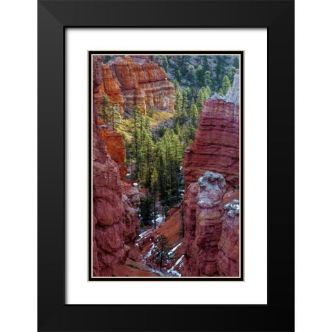 USA, Utah, Bryce Canyon NP Close-up of hoodoos Black Modern Wood Framed Art Print with Double Matting by OBrien, Jay