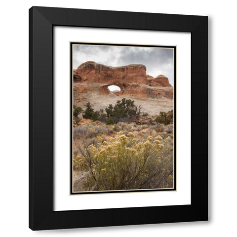 USA, Utah, Arches NP Scenic of Tunnel Arch Black Modern Wood Framed Art Print with Double Matting by Illg, Cathy and Gordon
