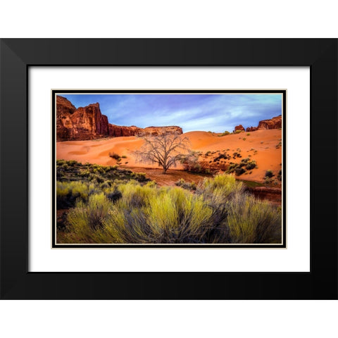 Utah-Monument Valley Landscape and dead tree  Black Modern Wood Framed Art Print with Double Matting by Jaynes Gallery
