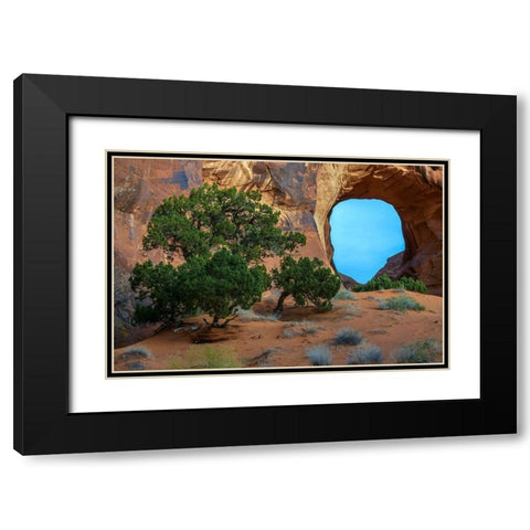 Utah-Monument Valley Landscape with sandstone formations and trees  Black Modern Wood Framed Art Print with Double Matting by Jaynes Gallery