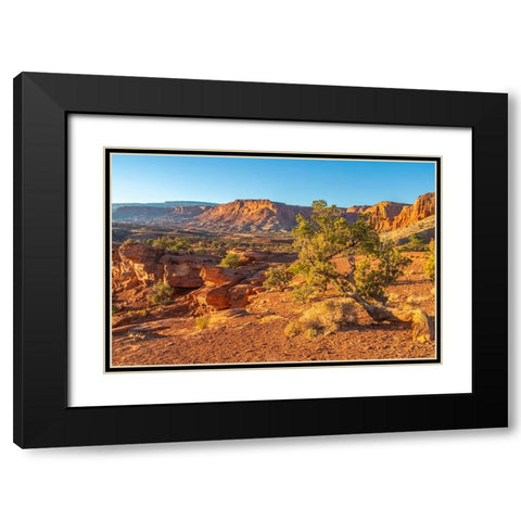 USA- Utah- Capitol Reef National Park. Eroded rock formations and mountains. Black Modern Wood Framed Art Print with Double Matting by Jaynes Gallery