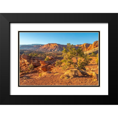 USA- Utah- Capitol Reef National Park. Eroded rock formations and mountains. Black Modern Wood Framed Art Print with Double Matting by Jaynes Gallery