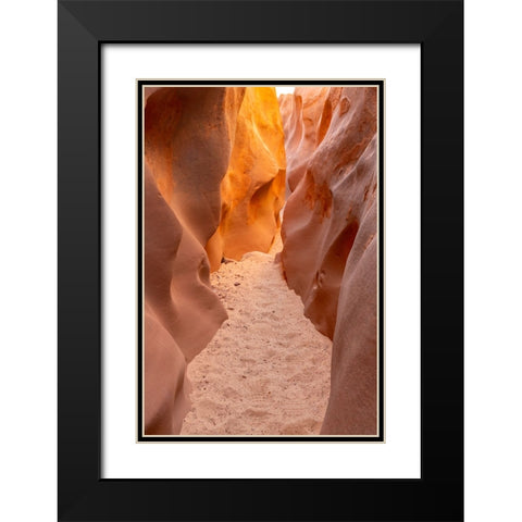 USA- Utah- Grand Staircase Escalante National Monument. Bighorn Canyon trail. Black Modern Wood Framed Art Print with Double Matting by Jaynes Gallery