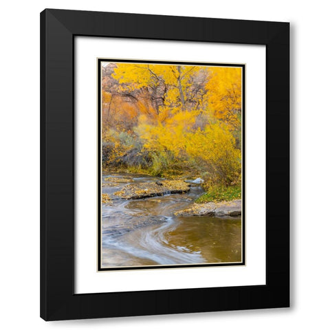 USA- Utah- Calf Creek Recreation Area in autumn. Black Modern Wood Framed Art Print with Double Matting by Jaynes Gallery